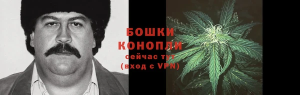 ПСИЛОЦИБИНОВЫЕ ГРИБЫ Переславль-Залесский
