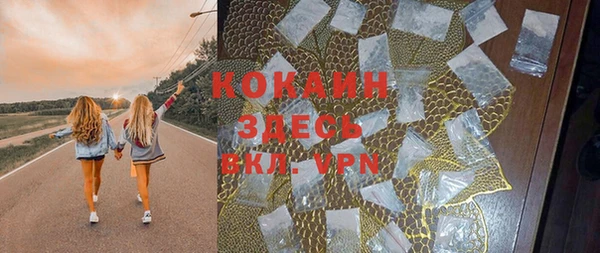 ПСИЛОЦИБИНОВЫЕ ГРИБЫ Переславль-Залесский