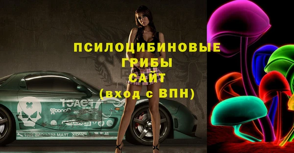 ПСИЛОЦИБИНОВЫЕ ГРИБЫ Переславль-Залесский