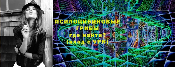 ПСИЛОЦИБИНОВЫЕ ГРИБЫ Переславль-Залесский