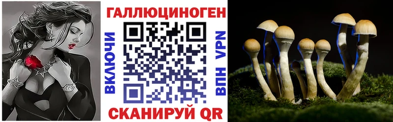 Псилоцибиновые грибы Cubensis Полярный
