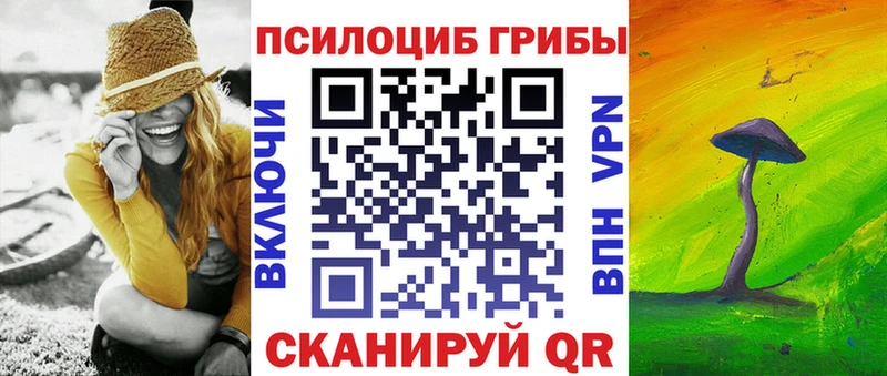 Псилоцибиновые грибы мицелий  Полярный 