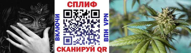 где продают наркотики  Полярный  Канабис сатива 